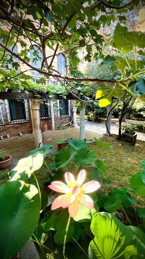 B&B Michelangelo เวนิส ภายนอก รูปภาพ